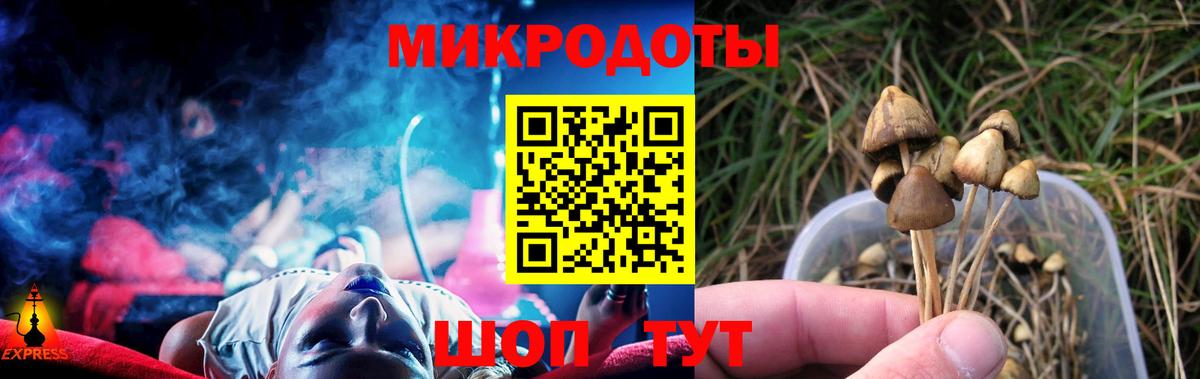 Аша  Галлюциногенные грибы GOLDEN TEACHER  Вход с VPN  Псилоцибиновые грибы Psilocybine cubensis 
