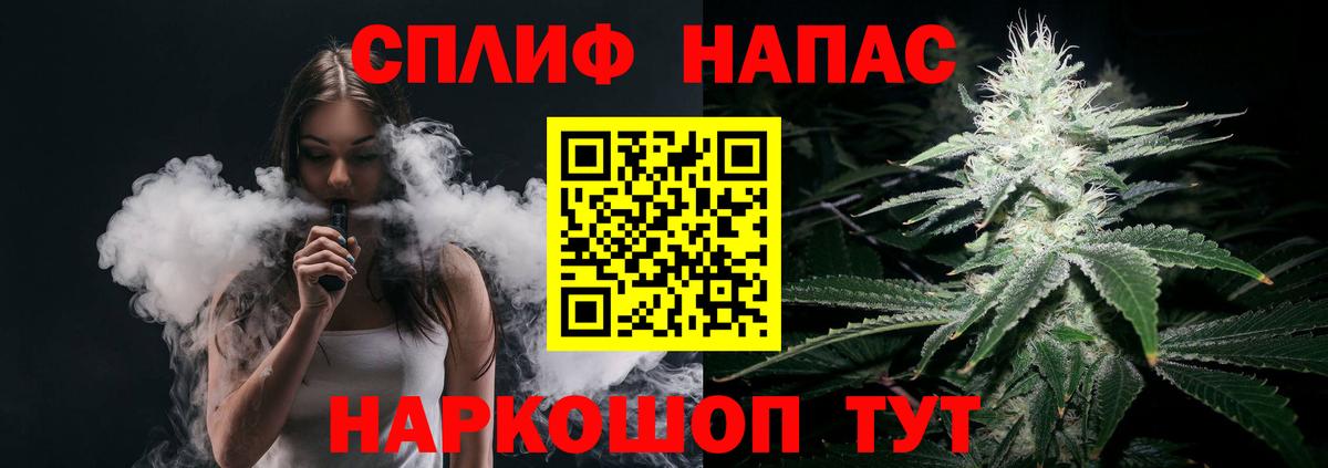 Канабис планчик Аша